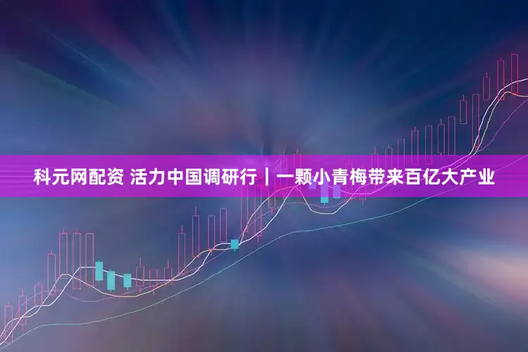 科元网配资 活力中国调研行｜一颗小青梅带来百亿大产业
