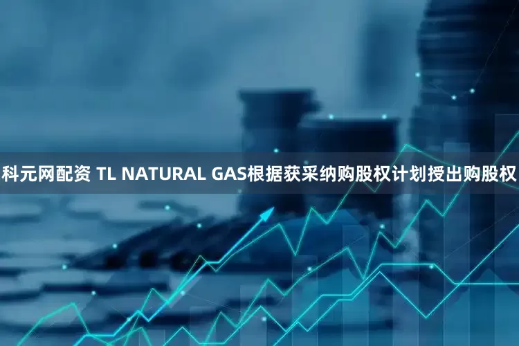 科元网配资 TL NATURAL GAS根据获采纳购股权计划授出购股权
