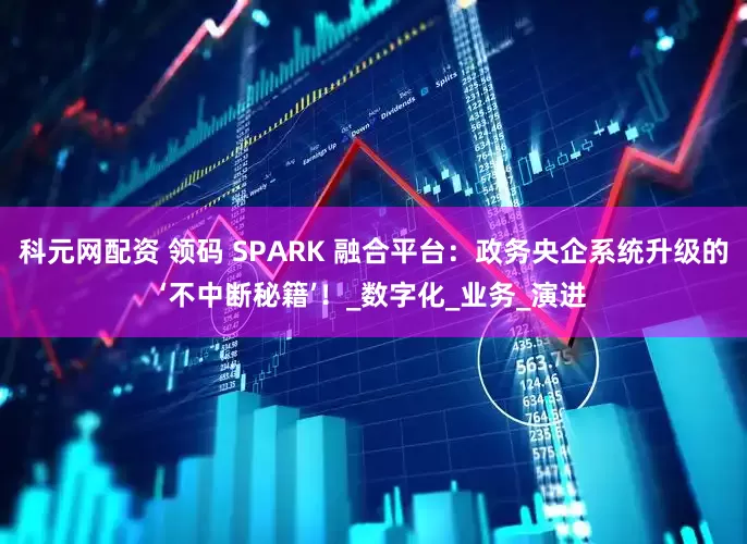 科元网配资 领码 SPARK 融合平台：政务央企系统升级的‘不中断秘籍’！_数字化_业务_演进